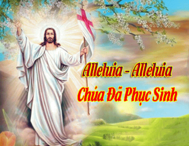 Alleluia ! Chúc Mừng Chúa Phục Sinh đến Quý Cha , Quý Tu Sĩ Nam Nữ và Quý Cộng Đoàn .