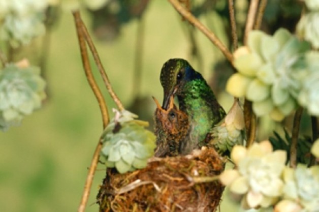 Tình yêu và sự hy sinh