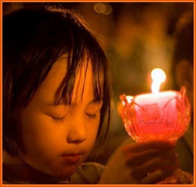 ĐÈN ĐỨC TIN