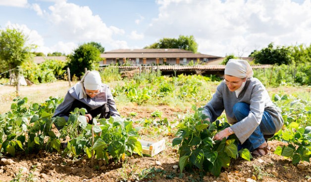 Thứ bảy 6 tháng 10, sống đời sống đan viện của tôi!