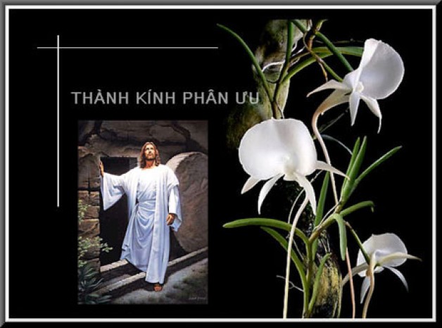 GIÁO XỨ TÂN VIỆT THÀNH KÍNH PHÂN ƯU