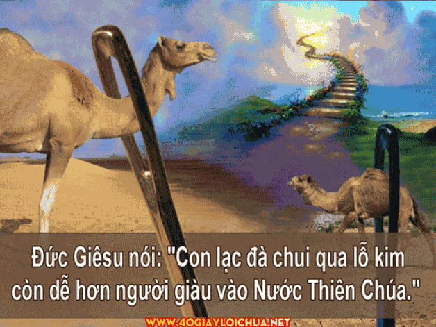 NGUY CƠ CỦA TIỀN BẠC ĐỐI VỚI ĐỜI SỐNG ĐỨC TIN VÀ ƠN CƯU ĐỘ