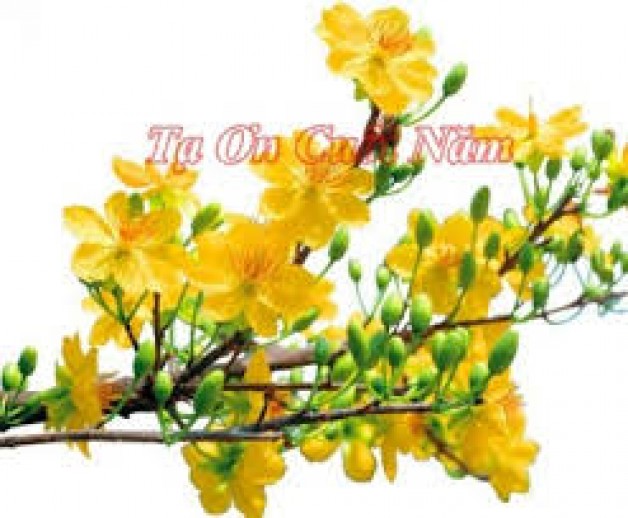 Tản mạn cuối năm