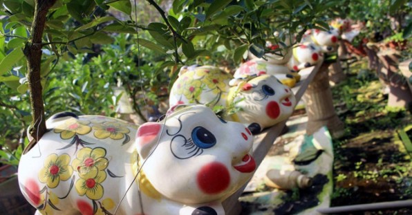 CHÆ¯Æ NG TRÃŒNH TẾT Ká»¶ HỢI 2019
