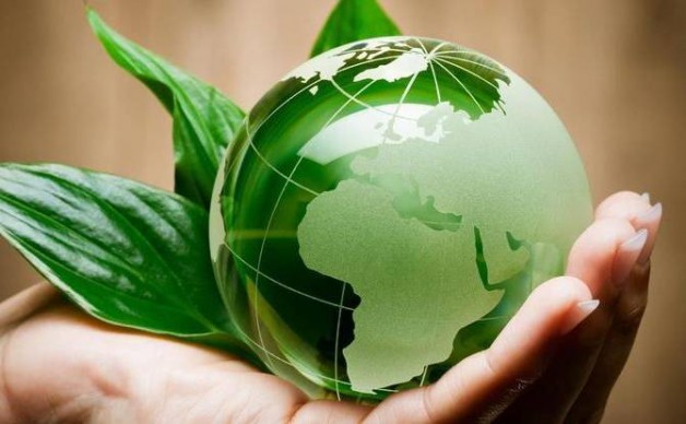 “Mùa chay ăn rau”: Chúng ta hãy để các ý thức hệ ra ngoài đức tin