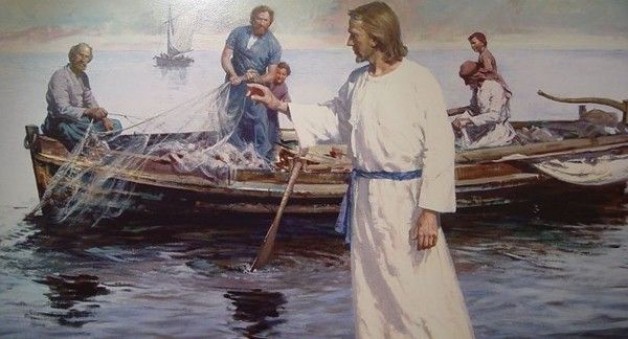 Chỉ dẫn để có một mẻ lưới lớn