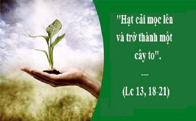 LỜI CHÚA THỨ BA TUẦN XXX THƯỜNG NIÊN NĂM LẺ (29/10/2019) – (Lc 13, 18 – 21) – THÁNG MÂN CÔI KÍNH ĐỨC MẸ