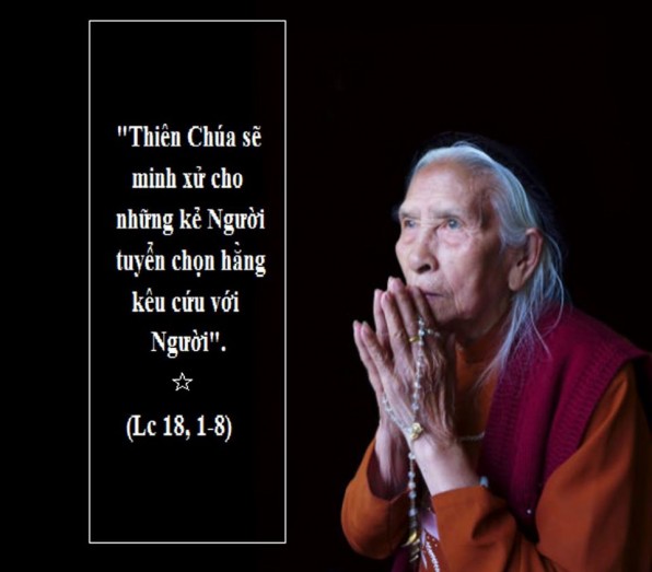 THỨ BẢY TUẦN XXXII THƯỜNG NIÊN NĂM LẺ (16/11/2019) – (Lc 18, 1-8) – THÁNG CẦU CHO CÁC LINH HỒN.