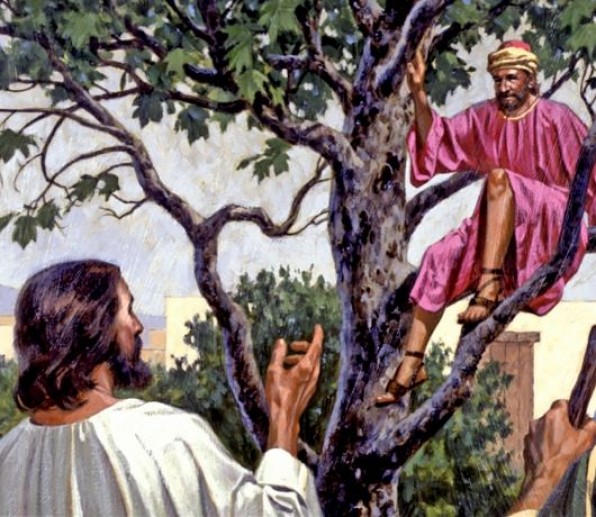 TÃŒNH YÊU KẾT TRÃI
