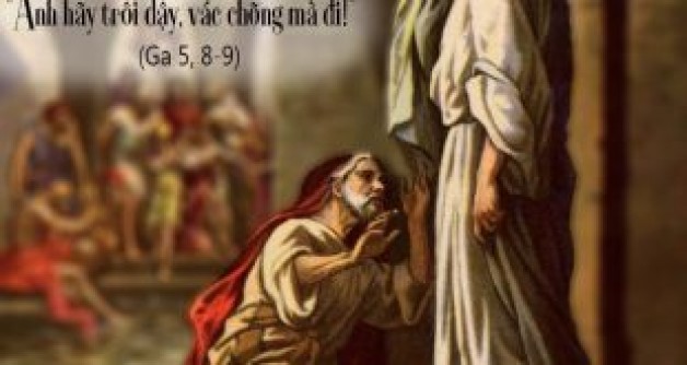 ĐỪNG VÔ CẢM VỚI NGƯỜI TẬT NGUYỀN.