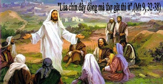 LỜI CHÚA THỨ BA TUẦN XIV THƯỜNG NIÊN NĂM CHẴN 2020 (07/7/2020) – (Mt 9, 32-38)