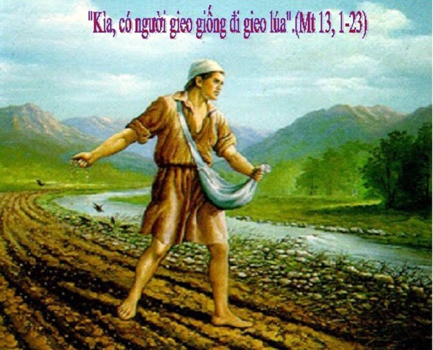 LỜI CHÚA CHÚA NHẬT XV THƯỜNG NIÊN NĂM A 2020 (12/7/2020) – (Mt 13, 1-9 hoặc 1-23) – DỤ NGÔN NGƯỜI GIEO GIỐNG