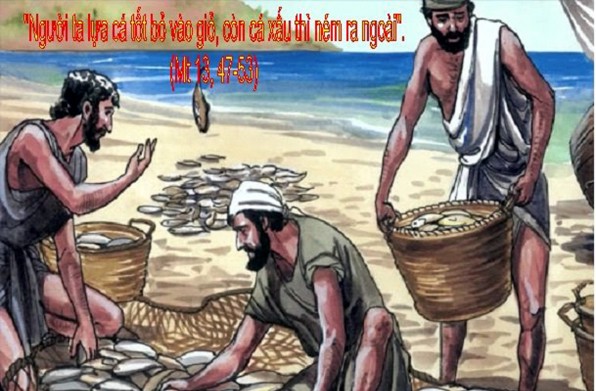 LỜI CHÚA THỨ NĂM TUẦN XVII THƯỜNG NIÊN NĂM CHẴN 2020 (30/7/2020) – (Mt 13, 47 – 53) – DỤ NGÔN CHIẾC LƯỚI. THÁNH PHÊRÔ KIM NGÔN, Gmtsht (Giám muc Tiến sĩ Hội thánh)– Lễ nhớ