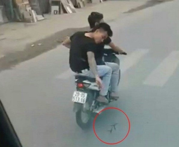 Khi sự ác lên ngôi !