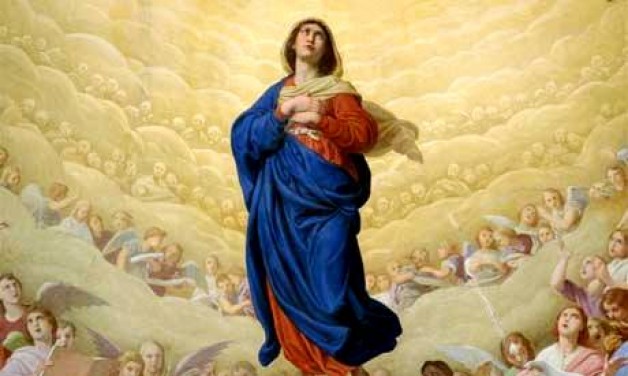 Äức Mẹ có chết trước khi được hồn xác lên trá»i không?