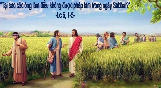 LỜI CHÚA THỨ BẢY TUẦN XXII THƯỜNG NIÊN NÄ‚M CHẴN 2020 (05/9/2020) – (Lc 6, 1 – 5) “TẠI SAO CÃC ÔNG LÀM ÄIỀU KHÔNG ÄÆ¯á»¢C PHÉP LÀM TRONG NGÀY SABBAT?”
