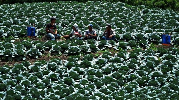 Các giám mục Hoa Kỳ kêu gọi liên đới trong dịp lễ Labour Day