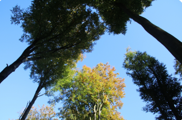 Rộng lượng bao la, nhỏ nhen ghen tị