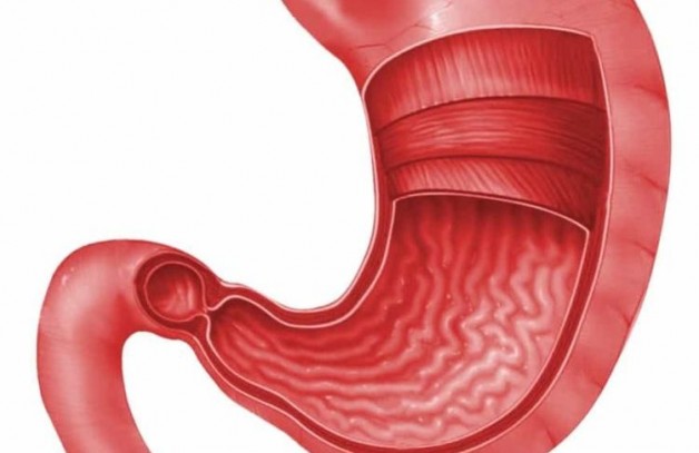 Cảnh báo: 7 dấu hiệu không hề đau đớn nhưng khiến bạn dễ chết sớm