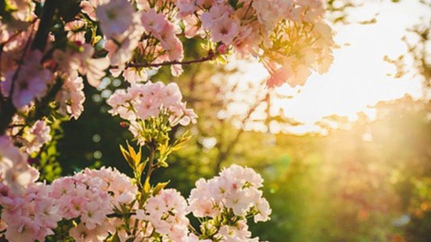 Các Giám mục châu Á mời gọi các tín hữu sống hy vọng