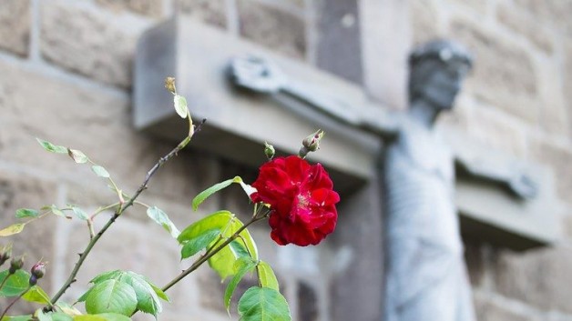 Các nhà thờ ở Hoa Kỳ tiếp tục bị xâm phạm