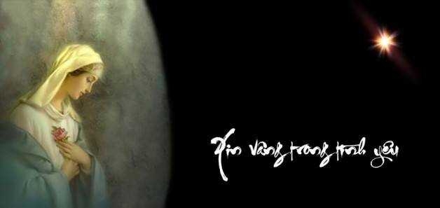 LỜI XIN VÂNG TUYỆT HẢO