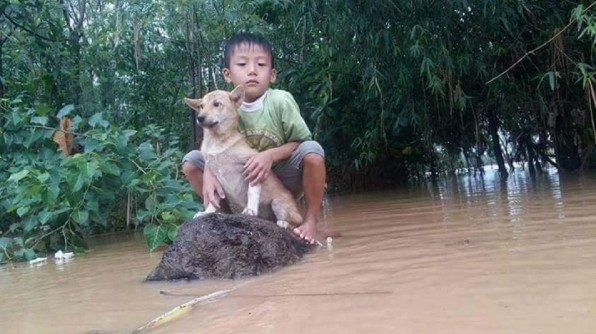 Thương quá miền Trung ơi !