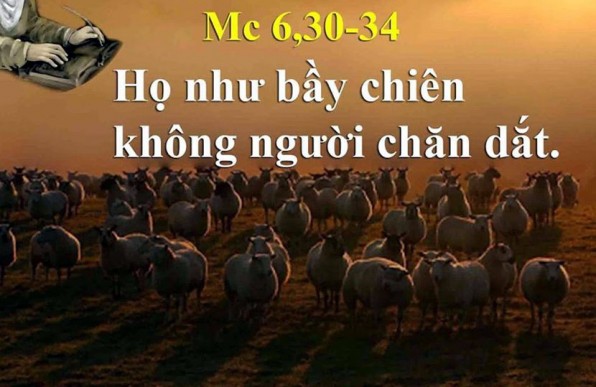 LỜI CHÚA THỨ BẢY TUẦN IV THƯỜNG NIÊN NĂM LẺ 2021 (06/02/2021) – (Mc 6, 30-34) – 25 tháng Chạp Canh Tý