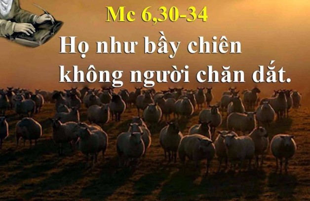 LỜI CHÚA THỨ BẢY TUẦN IV THƯỜNG NIÊN NĂM LẺ 2021 (06/02/2021) – (Mc 6, 30-34) – 25 tháng Chạp Canh Tý