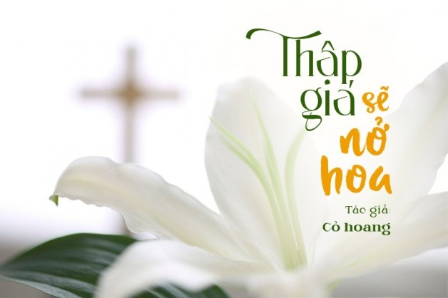 LỄ CHÚA CỨU THẾ (Chúa Nhật tuần III trong tháng 7) (Ga 3,13-18.21) THẬP GIÁ NỞ HOA