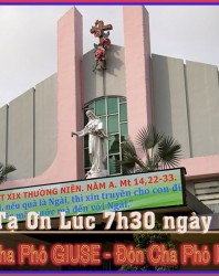 Chia tay Cha Phó Giuse đón Cha Phó Phaolo