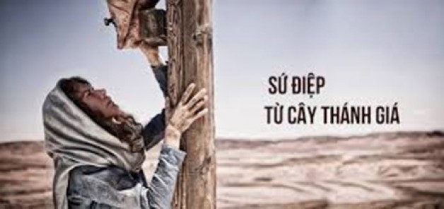 Sứ điệp từ cây Thánh Giá